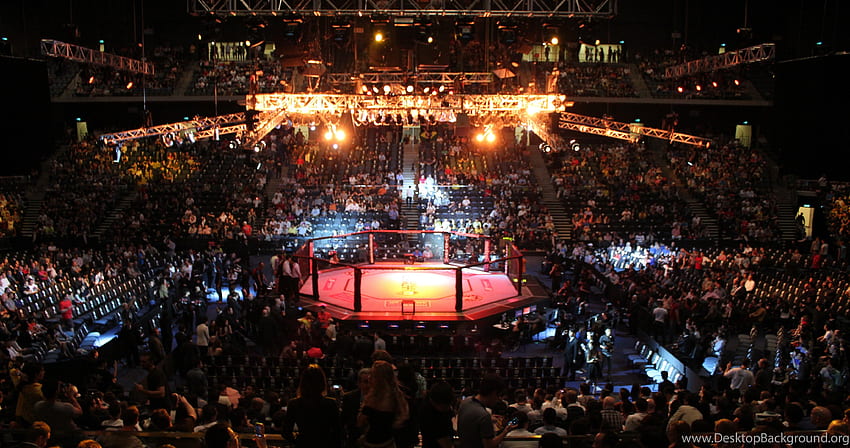 Ufc Cage Fence Background HD wallpaper