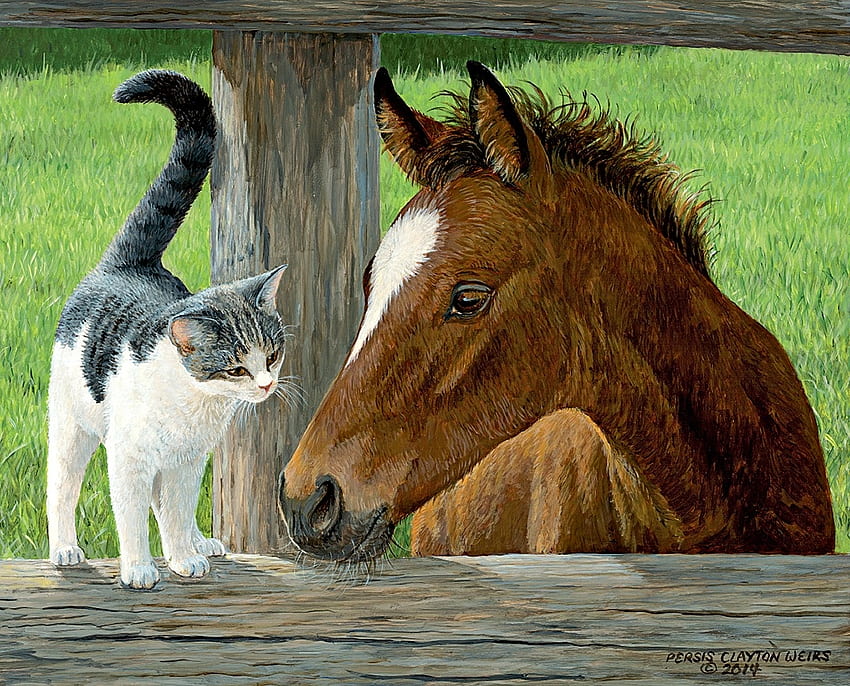 Hello, neighbour!, animal, horse, parsis clayton wirs, cute, cal, cat, pisica, fence, luminos, friend HD wallpaper