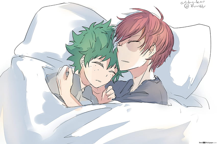 나의 히어로 아카데미아 미도리야 이즈쿠 And 토도로키 쇼토 Sleeping Deku And Todoroki Cute Hd 월페이퍼 Pxfuel