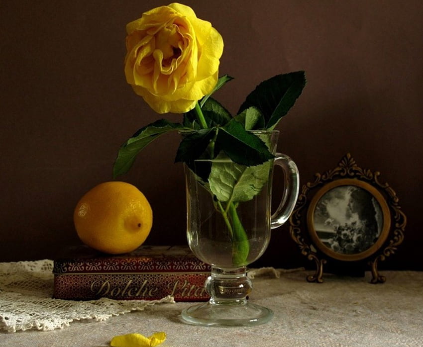 Натюрморт, роза, книга, жълто HD тапет