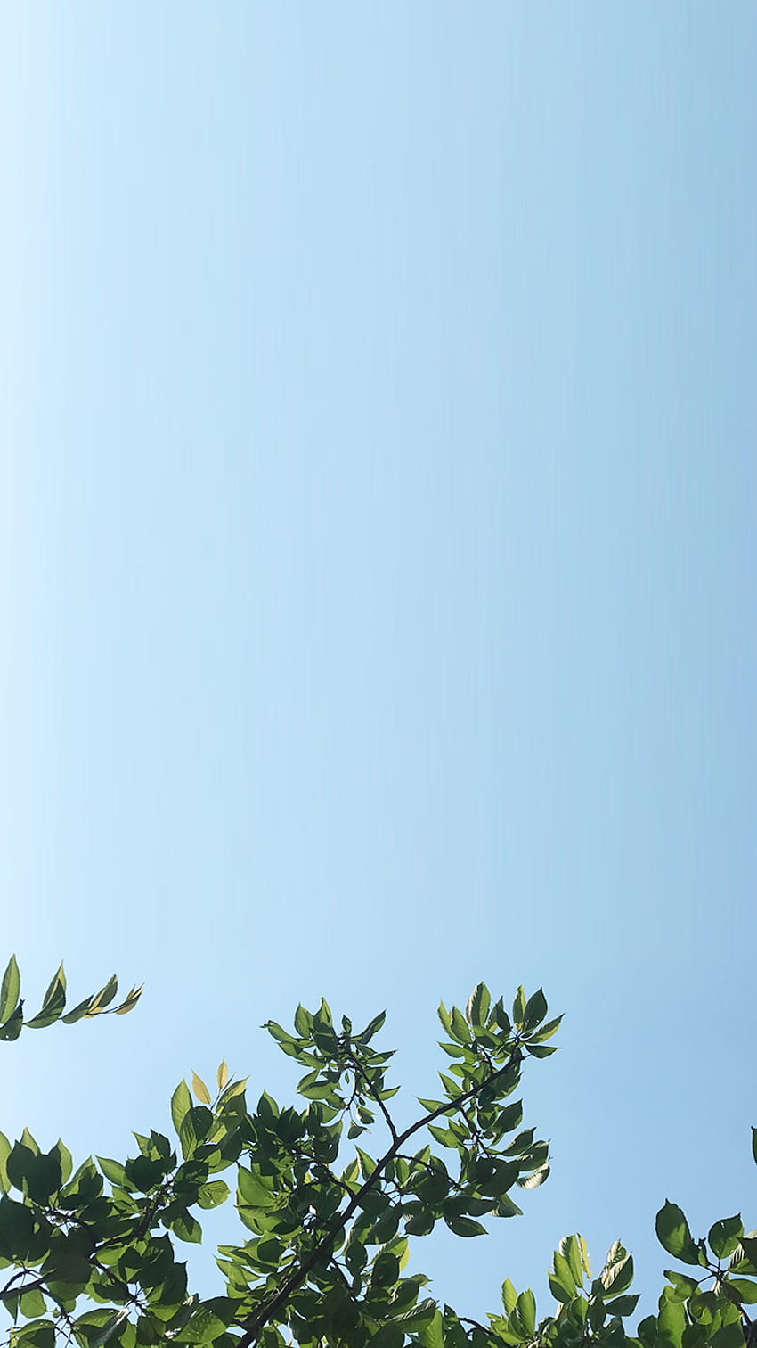 iPhone 6S collection. [All about summer] - Album, Summer Time HD phone wallpaper