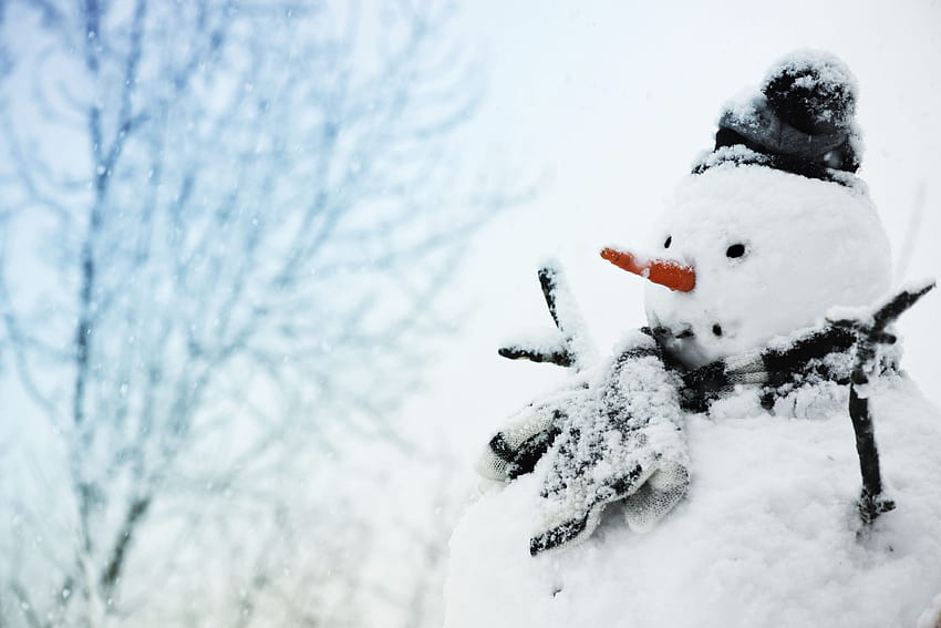 : Snowy day - Black, Branches, B&w HD wallpaper