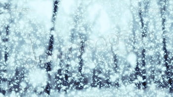Nền tuyết Giáng Sinh đầy ma mị sẽ đưa bạn đến một thế giới thần tiên với tiếng nhạc Noel và cây thông trang trí. Hãy cùng khám phá hình ảnh đẹp với hellovn.com