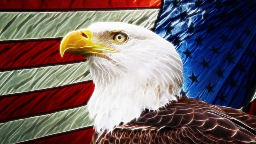 America America, birds, nature, america, flags, eagles, usa HD wallpaper