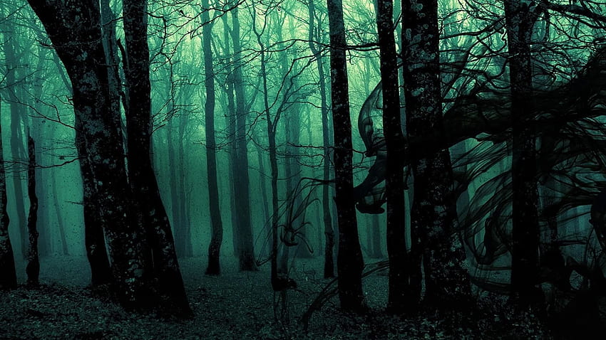 Page 6 | creepy forest HD wallpapers | Pxfuel