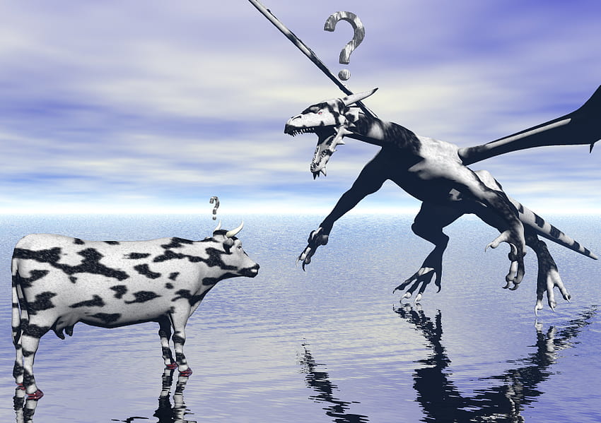 Dracow, dragon, cow, confused, question HD wallpaper