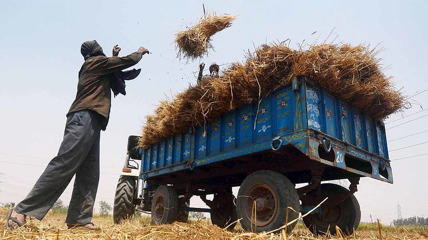 Farm Bill คืออะไรและเหตุใดเกษตรกรจึงกลัวการสูญเสีย MSP ภายใต้กฎหมายใหม่: อธิบาย - Times of India, No Farmers No Food วอลล์เปเปอร์ HD