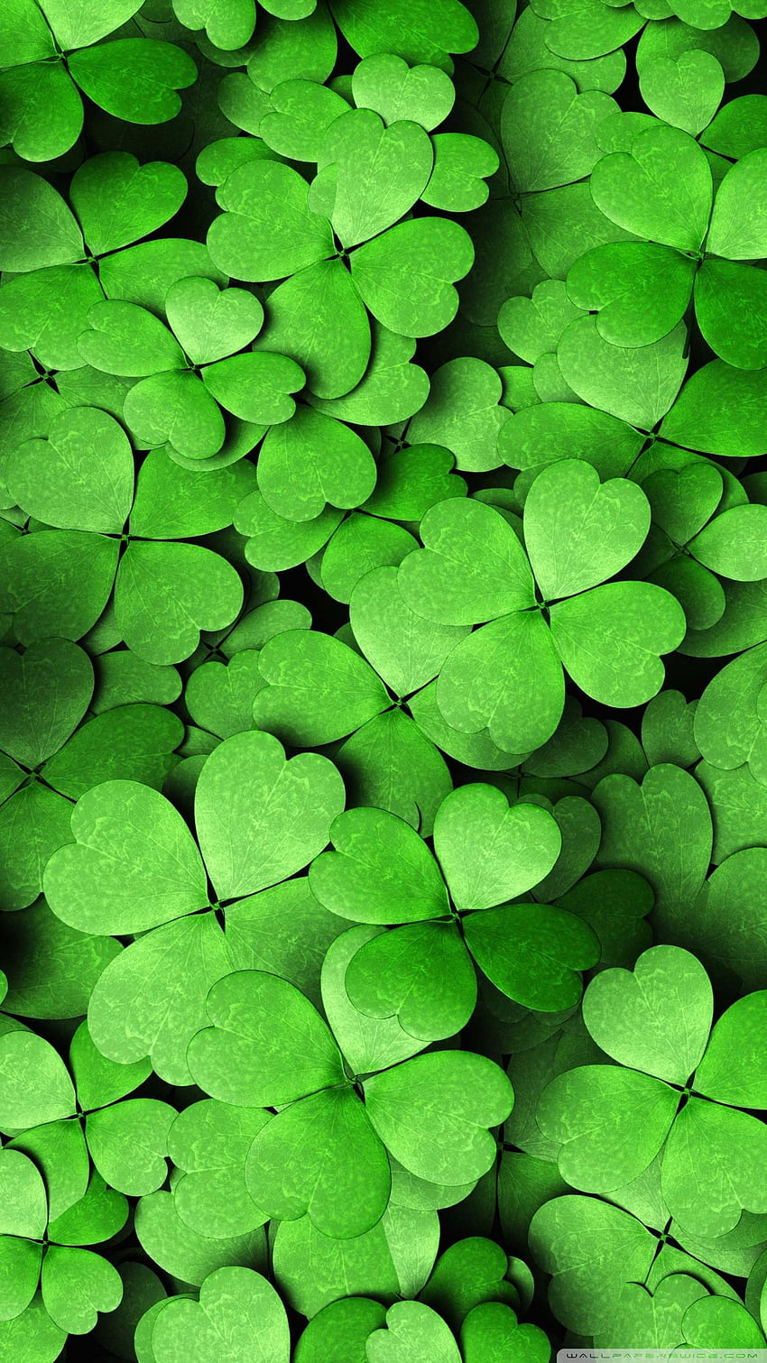 Android 4 Leaves Clover, Lucky Clover HD phone wallpaper