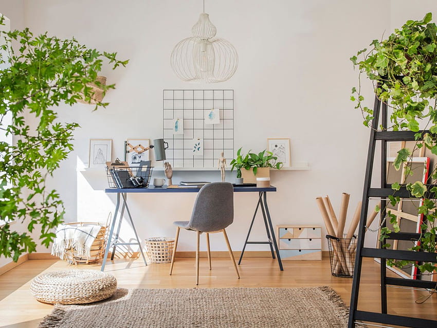 Piante da lavoro a casa per lo spazio dell'ufficio: piante d'appartamento per un ufficio a casa Sfondo HD