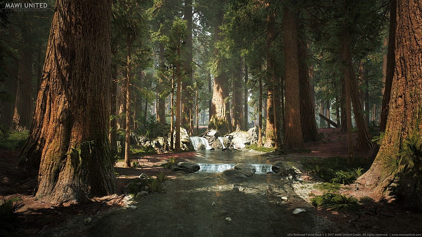 Ue4 Redwood Forest - Unreal Redwood. t HD wallpaper