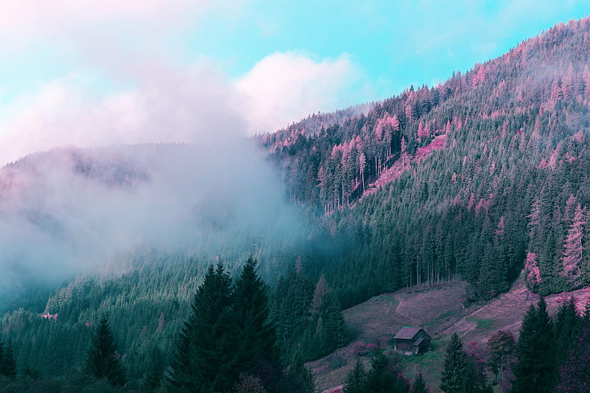 Nature, Trees, Mountains, Forest, Fog, Small House, Lodge HD wallpaper