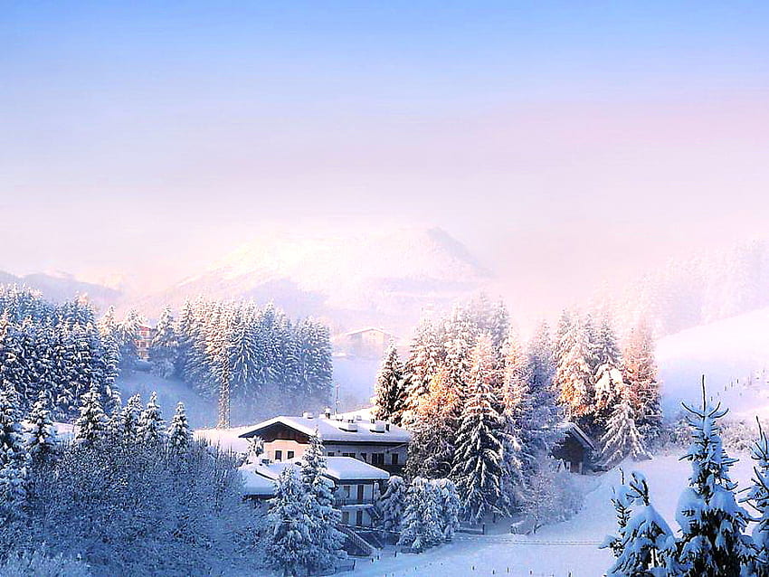 冬の朝、冬、丘、雪、寒さ、木、家、山 高画質の壁紙