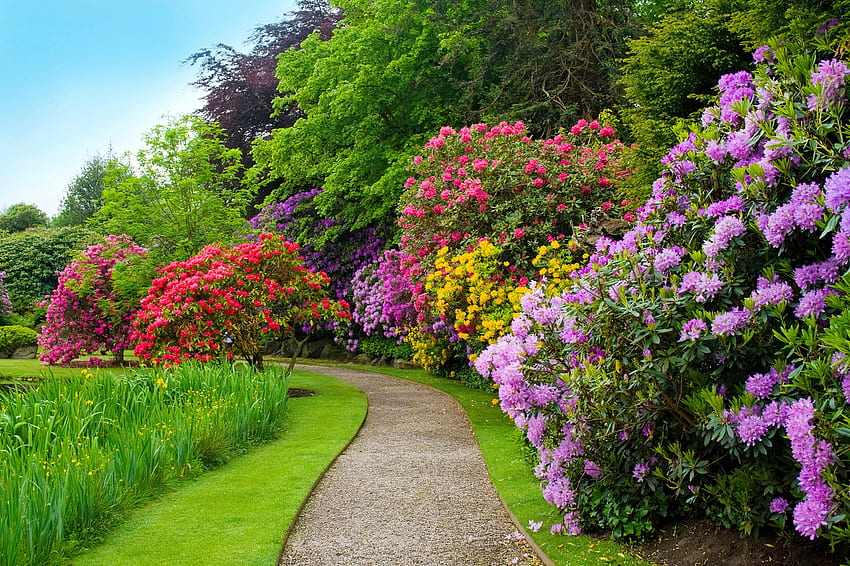Flower alley, trees, garden, alley, flowers, park, walk, colorful, grass, shrubs, summer HD wallpaper