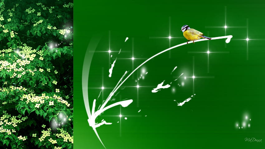Dogwood and Lights, bird, spring, light, blossoms, bright, green, blooming, flowers, dogwood HD wallpaper