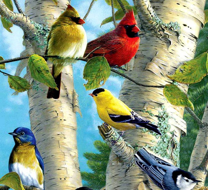 burung yang indah, indah, burung, latar belakang, pohon Wallpaper HD