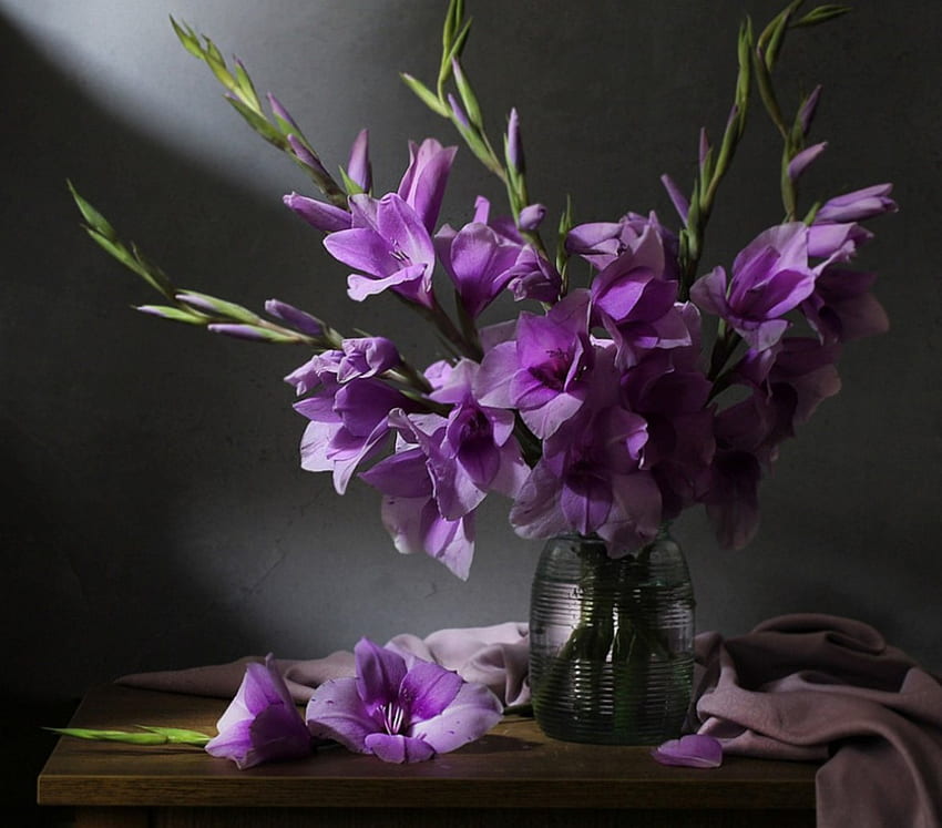 静物、紫、花瓶、自然、花 高画質の壁紙