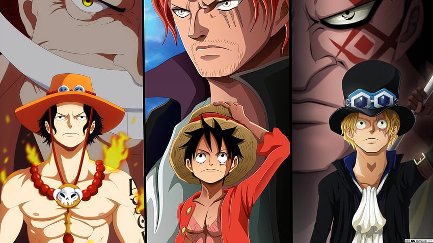One Piece - Three Brothers Collab HD wallpaper