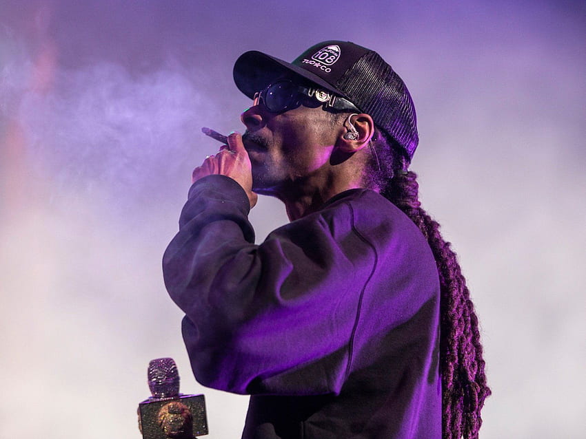Snoop Dogg、ScHoolboy Q、Lil Wayne's Fest エンディング セット、Young Snoop Dogg の思い出に残る瞬間 高画質の壁紙