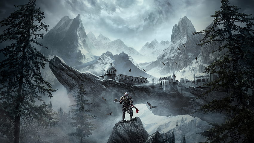 The Elder Scrolls Online, savaşçı, çevrimiçi oyun HD duvar kağıdı
