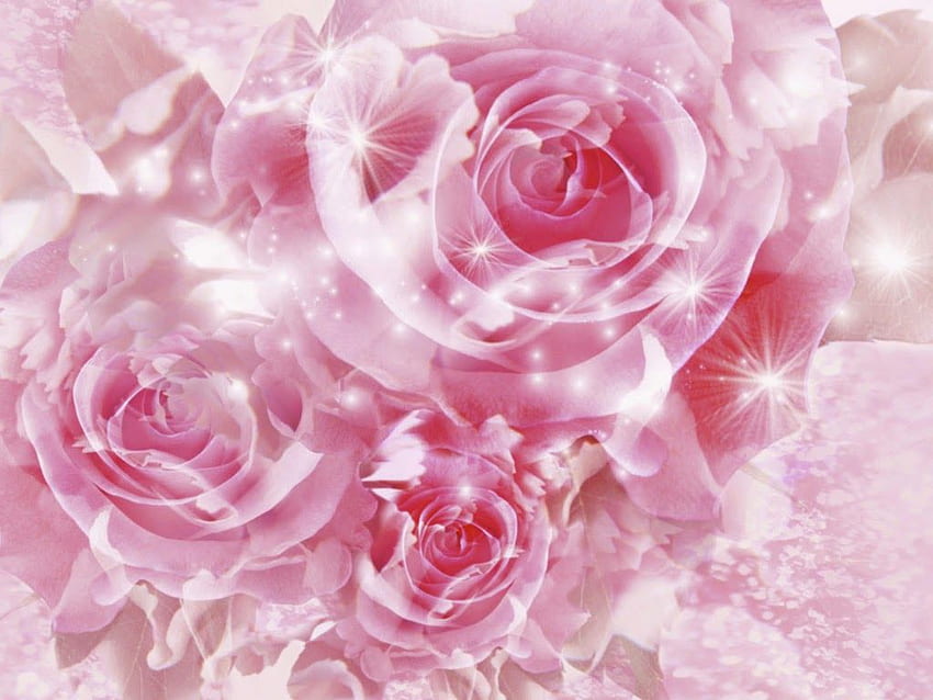 Bunga Stigma: różowa róża, jasnoróżowe róże Tapeta HD