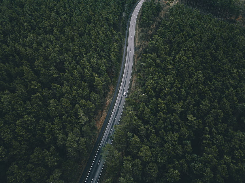 View From Above, Nature, Trees, Road HD wallpaper