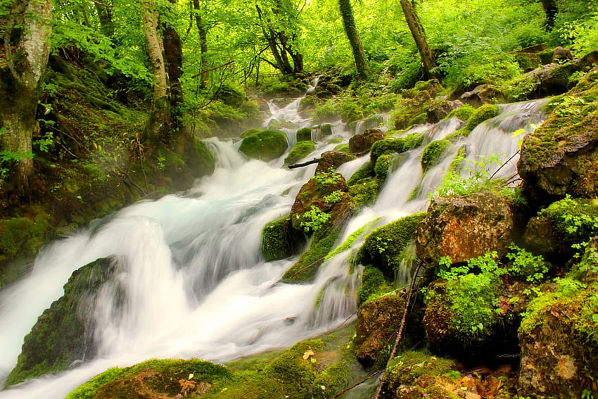 숲의 흐름, 개울, 아름다운, 잔디, 여름, 초록, 폭포, 나무, 녹지, 자연, 아름다운, 숲, 흐름 HD 월페이퍼