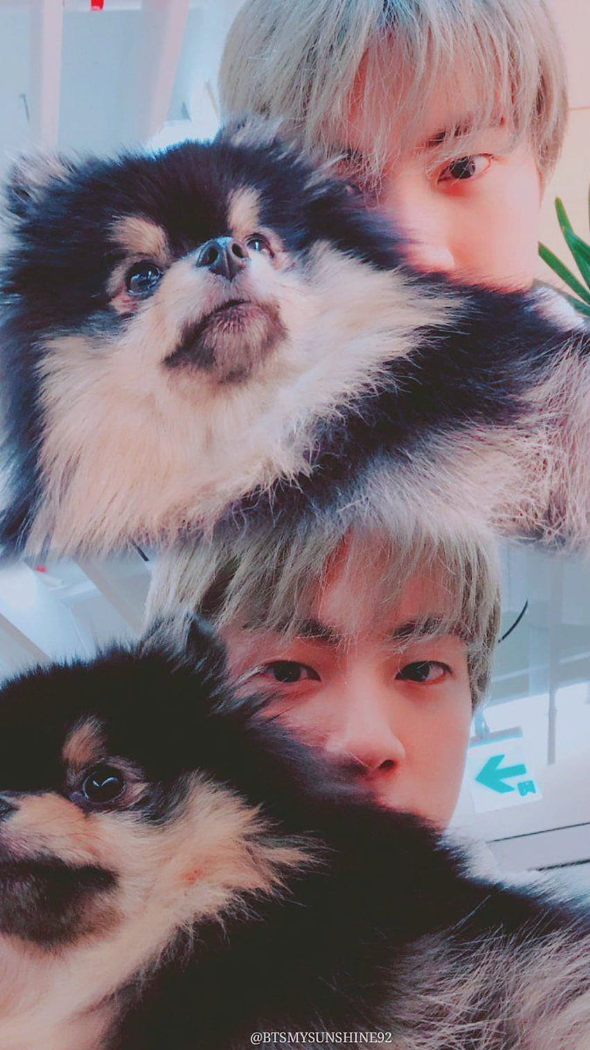 Amazon.com: kim taehyung y yeontan : Todo lo demás