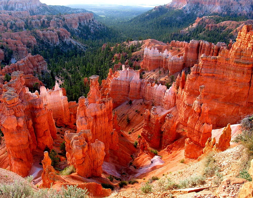 ブライト オレンジ キャニオン ロック、アリゾナ、アリゾナ、オレンジ、山、岩、日光、日、茶色、谷、峡谷、木、自然、空、森 高画質の壁紙