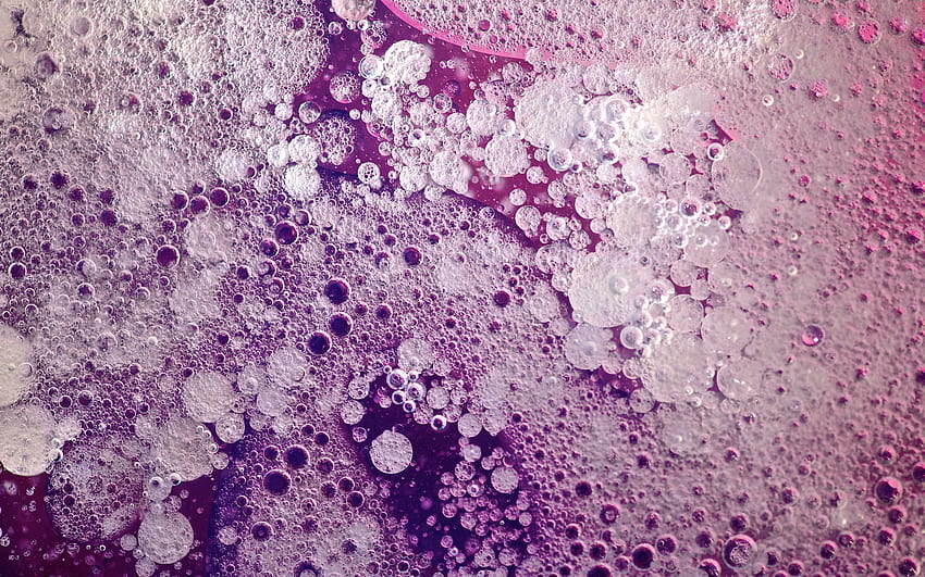 Lilac, Violet, Macro, Liquid, Purple HD wallpaper