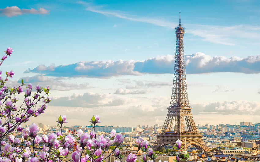 パリ、エッフェル塔、春、夕方、マグノリア、パリの街並み、マグノリアの花、フランス 高画質の壁紙