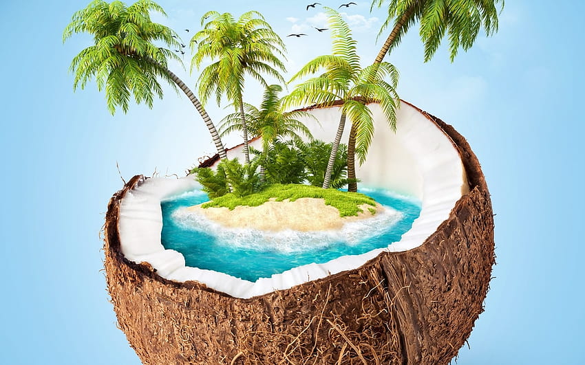 ココナツ島, ヤシの木, 芸術, 浜辺, 鳥類、空 高画質の壁紙
