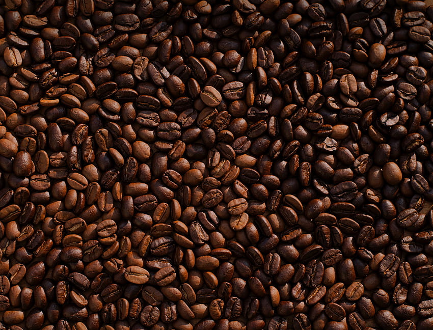 食品, コーヒー, ブラウン, コーヒー豆, 揚げ物, ロースト 高画質の壁紙