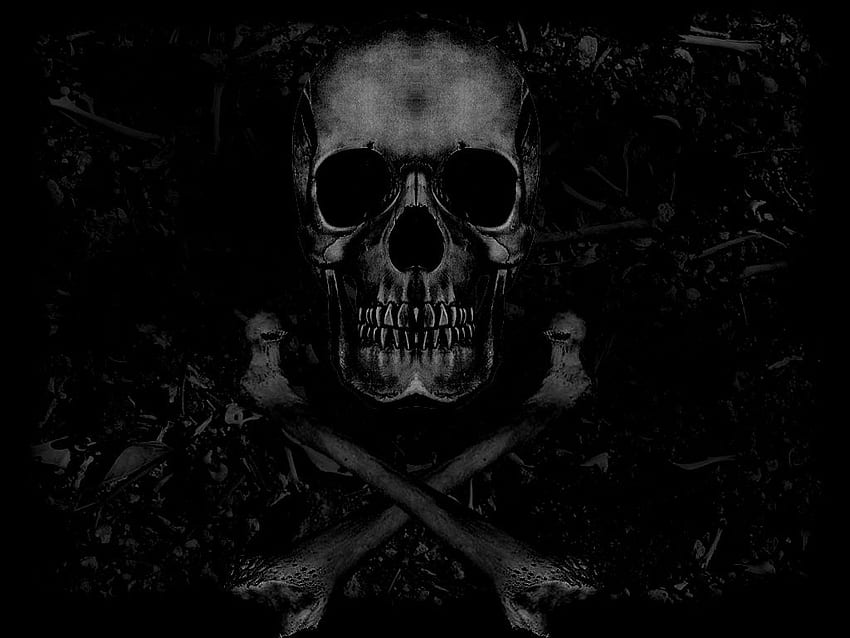 1440x2960 Dark Skull Samsung Galaxy Note 98 S9S8S8 QHD HD 4k Wallpapers  Images Backgrounds Photos and Pictures