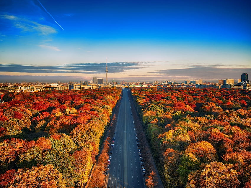 秋の木々の間の道、ベルリン、木々、秋、空、道、自然 高画質の壁紙