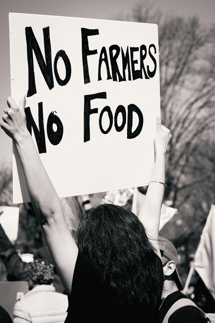 Farmer Protest, No Farmers No Food HD phone wallpaper