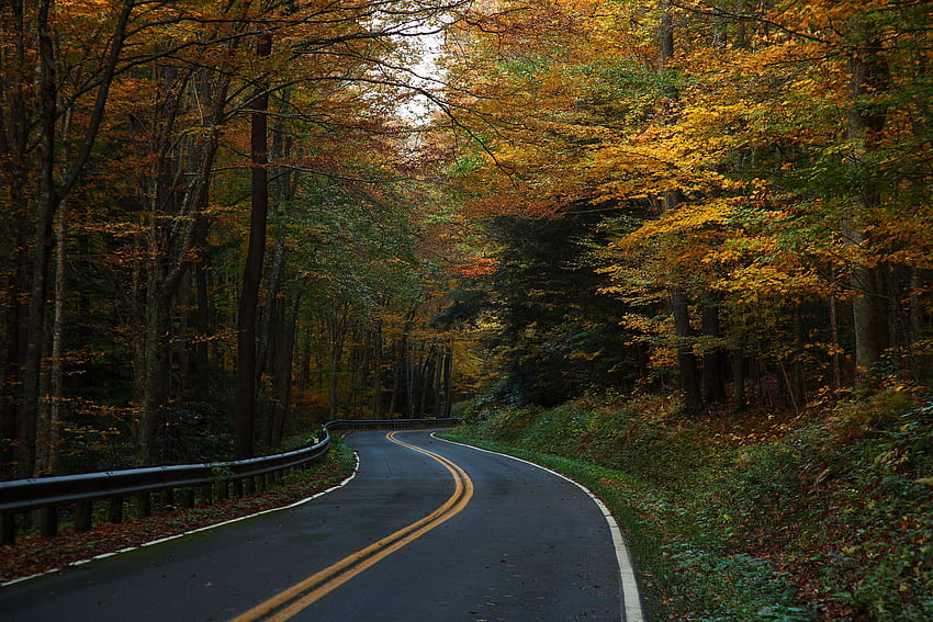 ウェスト バージニア州の曲がりくねった秋の木々 .teahub.io、曲がりくねった道 高画質の壁紙