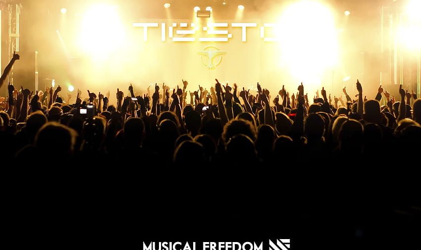Tiesto Concert Crowd HD wallpaper