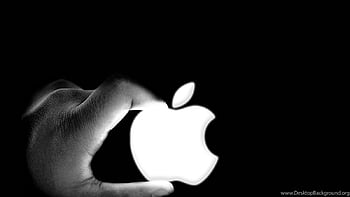 Steve Jobs Apple Logo Zone Background HD wallpaper | Pxfuel