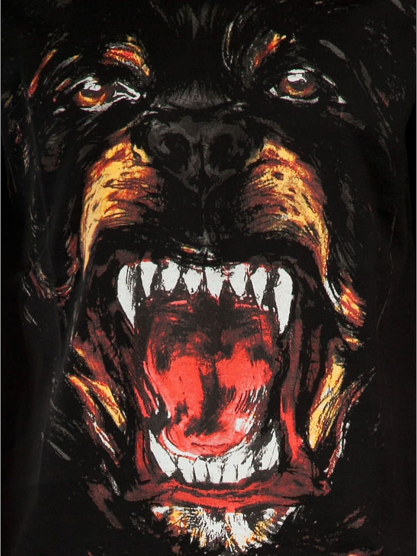 Givenchy Rottweiler - - wallpaper ponsel HD