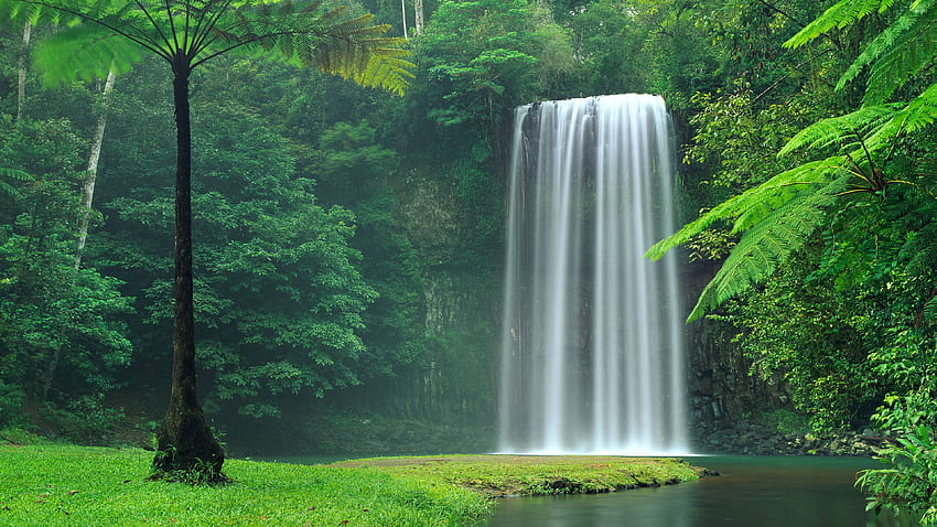 Mystic forest waterfall, Mystical Lake HD wallpaper
