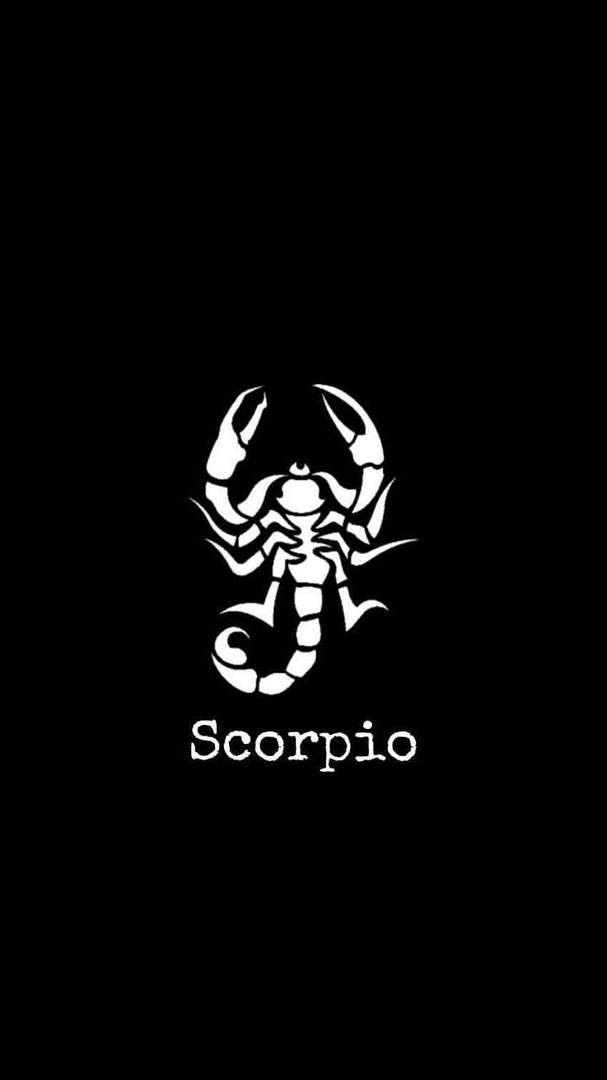 Скорпион, Естетичен Скорпион HD тапет за телефон