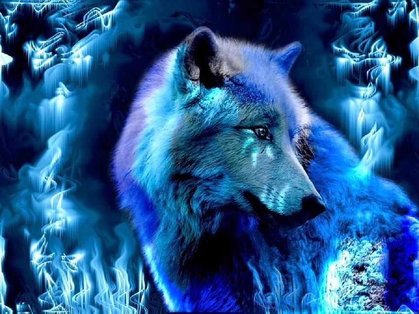 Cool Blue Wolf หมาป่าสีน้ำเงินนีออน วอลล์เปเปอร์ HD