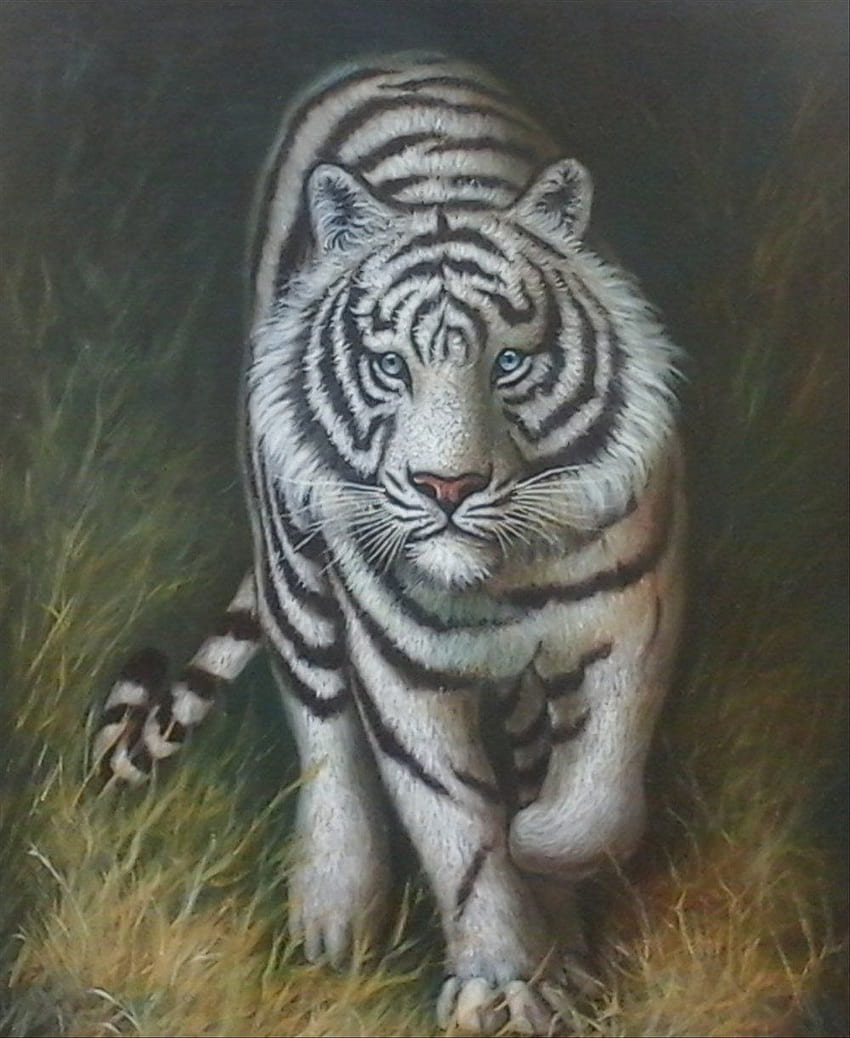 Lukisan Harimau Putih HD phone wallpaper