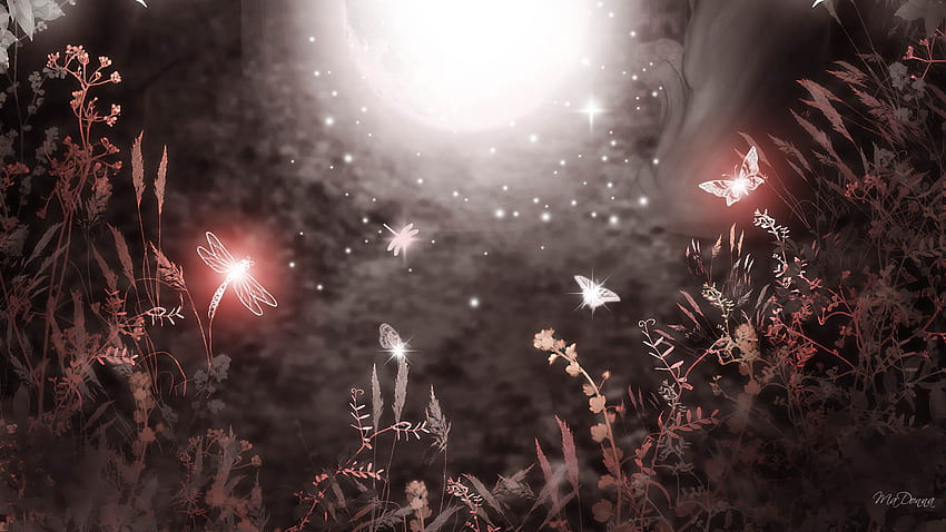 Brilliant Dragonflies and Butterflies, shining, grasses, plants, moon, firefox persona, dragonfly, stars HD wallpaper