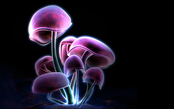 Neon mushroom HD wallpapers  Pxfuel