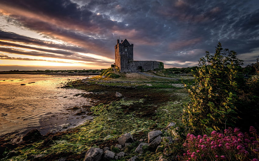Dunguaire Castle, Irish Castle HD wallpaper | Pxfuel