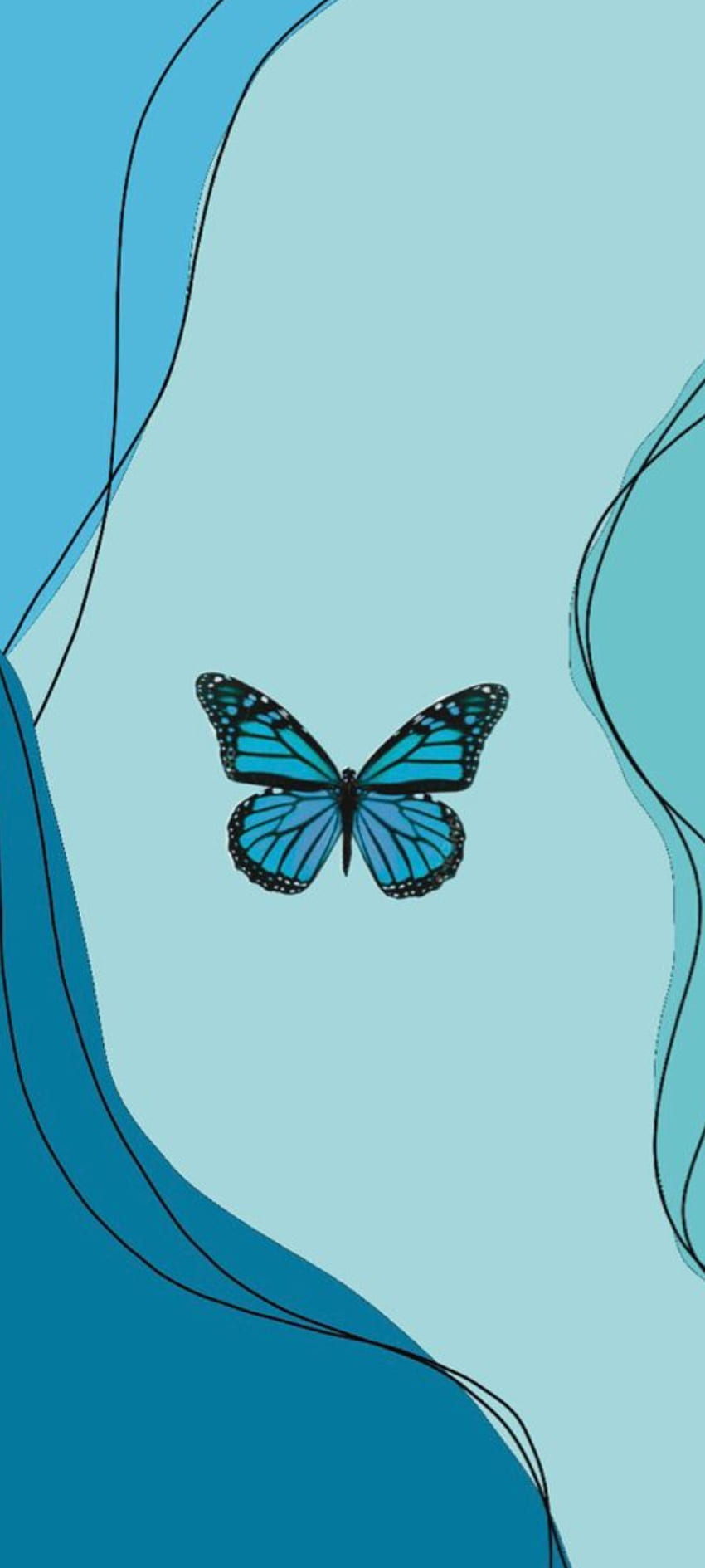 borboleta, estético, mariposa fondo de pantalla del teléfono