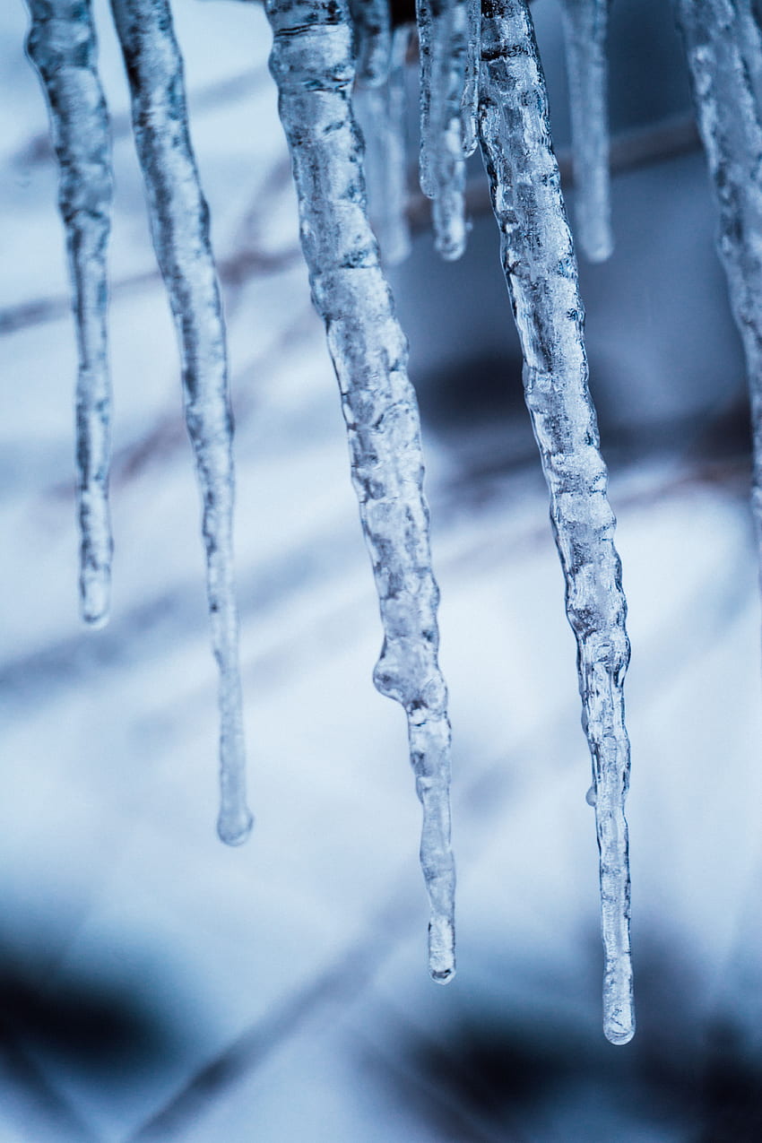 Winter, Ice, Macro, Frost, Frozen, Icicles HD phone wallpaper