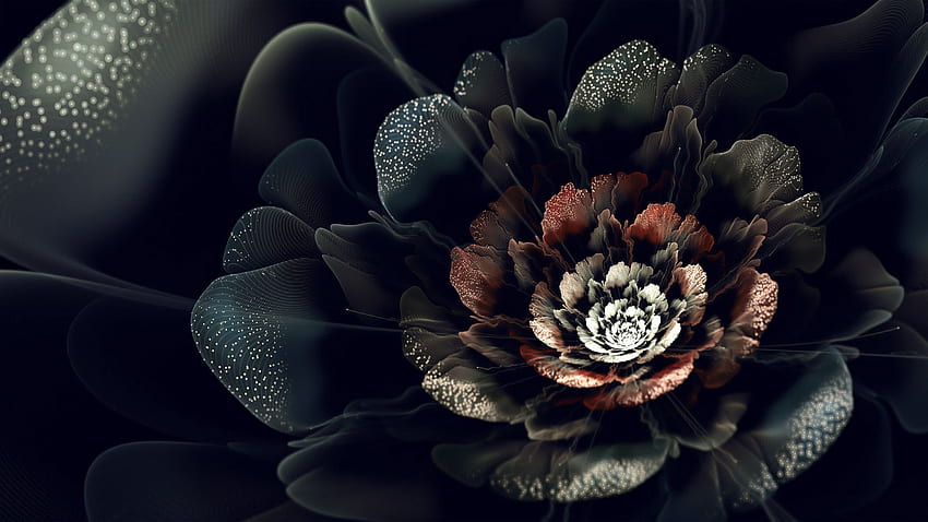 Grayscale Photo of Flower With Black Background  Free Stock Photo