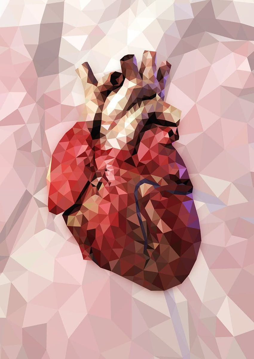 Lowpoly eines menschlichen Herzens. Beginnen Sie überall, Pink Medical HD-Handy-Hintergrundbild